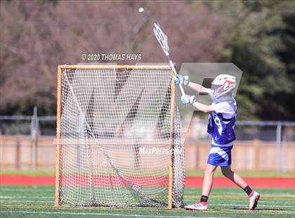 Thumbnail 1 in Grapevine @ Captain Shreve photogallery.