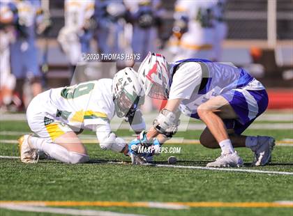 Thumbnail 3 in Grapevine @ Captain Shreve photogallery.