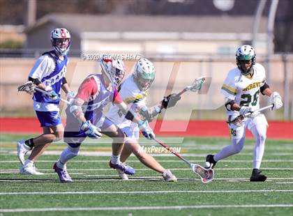 Thumbnail 2 in Grapevine @ Captain Shreve photogallery.