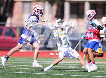 Thumbnail 2 in Grapevine @ Captain Shreve photogallery.