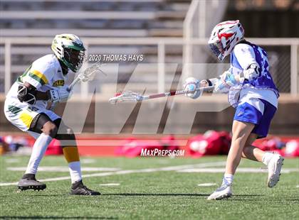 Thumbnail 2 in Grapevine @ Captain Shreve photogallery.