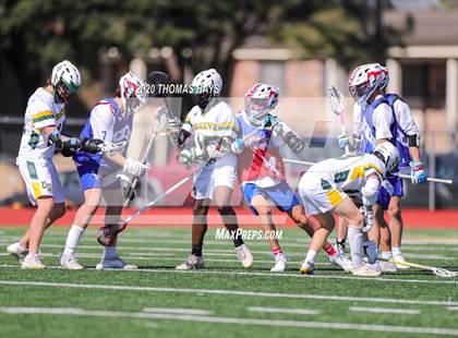 Thumbnail 3 in Grapevine @ Captain Shreve photogallery.