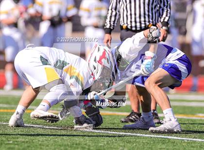 Thumbnail 3 in Grapevine @ Captain Shreve photogallery.