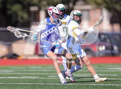 Thumbnail 2 in Grapevine @ Captain Shreve photogallery.