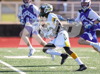 Thumbnail 2 in Grapevine @ Captain Shreve photogallery.
