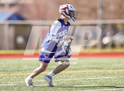 Thumbnail 2 in Grapevine @ Captain Shreve photogallery.