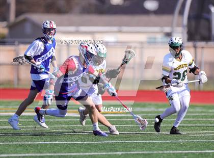 Thumbnail 3 in Grapevine @ Captain Shreve photogallery.