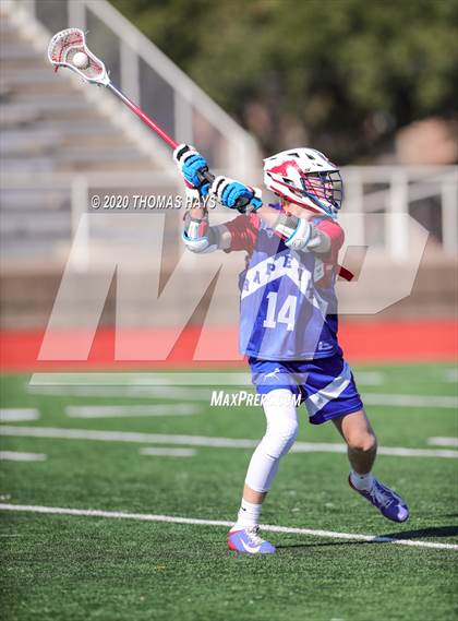 Thumbnail 1 in Grapevine @ Captain Shreve photogallery.