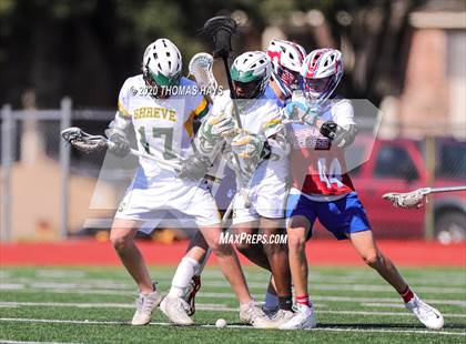 Thumbnail 1 in Grapevine @ Captain Shreve photogallery.