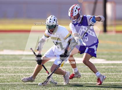 Thumbnail 3 in Grapevine @ Captain Shreve photogallery.