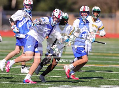 Thumbnail 3 in Grapevine @ Captain Shreve photogallery.