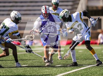 Thumbnail 1 in Grapevine @ Captain Shreve photogallery.