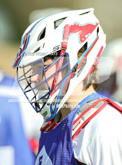 Thumbnail 2 in Grapevine @ Captain Shreve photogallery.