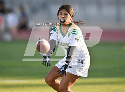 Thumbnail 1 in Palmdale vs Mayfair photogallery.