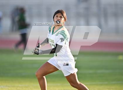 Thumbnail 3 in Palmdale vs Mayfair photogallery.
