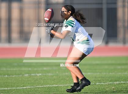 Thumbnail 1 in Palmdale vs Mayfair photogallery.