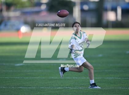 Thumbnail 3 in Palmdale vs Mayfair photogallery.