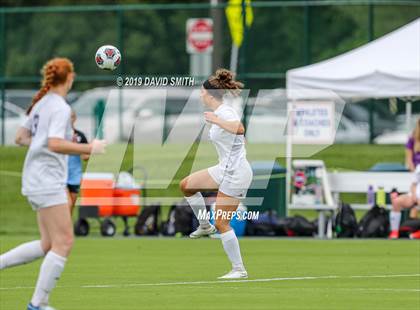 Thumbnail 1 in Notre Dame vs. Pleasant Hill (MSHSAA Class 2 Semifinal) photogallery.