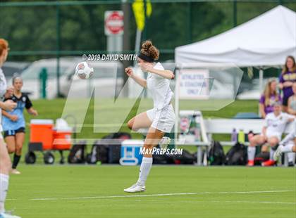 Thumbnail 3 in Notre Dame vs. Pleasant Hill (MSHSAA Class 2 Semifinal) photogallery.