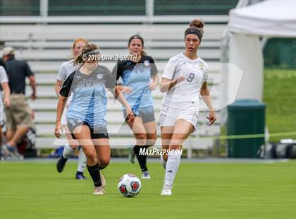 Thumbnail 3 in Notre Dame vs. Pleasant Hill (MSHSAA Class 2 Semifinal) photogallery.
