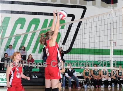 Thumbnail 2 in South Shore vs. Siren (WIAA D4 Regionals) photogallery.