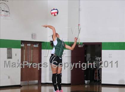 Thumbnail 2 in South Shore vs. Siren (WIAA D4 Regionals) photogallery.