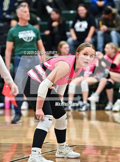 Thumbnail 2 in Pomona @ D'Evelyn photogallery.