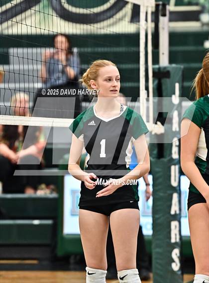 Thumbnail 1 in Pomona @ D'Evelyn photogallery.