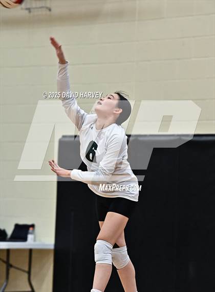 Thumbnail 1 in Pomona @ D'Evelyn photogallery.