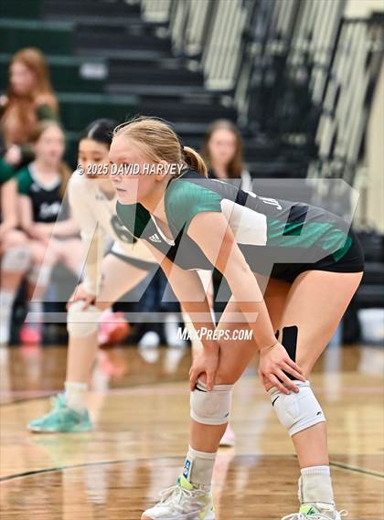 Thumbnail 1 in Pomona @ D'Evelyn photogallery.