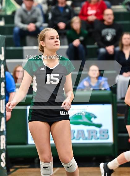 Thumbnail 1 in Pomona @ D'Evelyn photogallery.