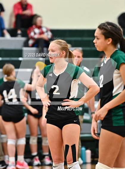 Thumbnail 1 in Pomona @ D'Evelyn photogallery.