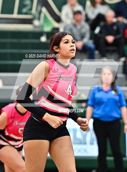 Thumbnail 1 in Pomona @ D'Evelyn photogallery.