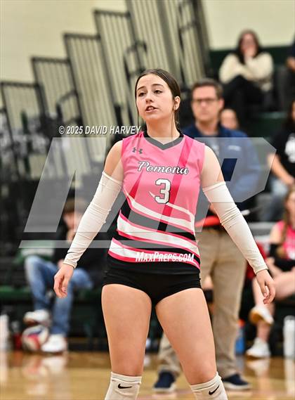 Thumbnail 1 in Pomona @ D'Evelyn photogallery.