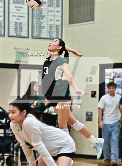 Thumbnail 3 in Pomona @ D'Evelyn photogallery.