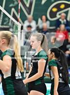 Photo from the gallery "Pomona @ D'Evelyn"