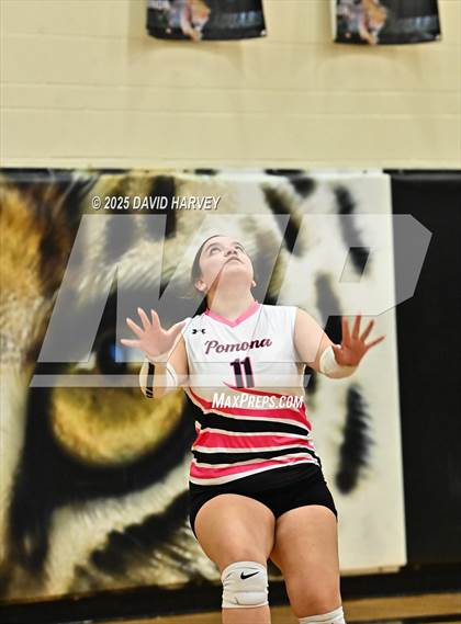 Thumbnail 1 in Pomona @ D'Evelyn photogallery.