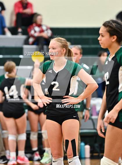 Thumbnail 2 in Pomona @ D'Evelyn photogallery.