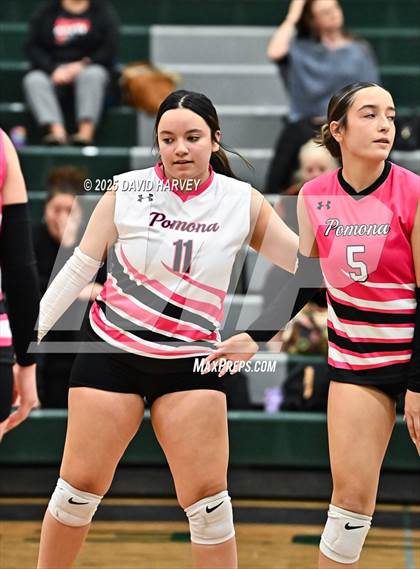 Thumbnail 1 in Pomona @ D'Evelyn photogallery.