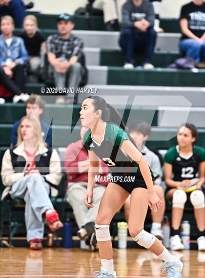 Thumbnail 1 in Pomona @ D'Evelyn photogallery.