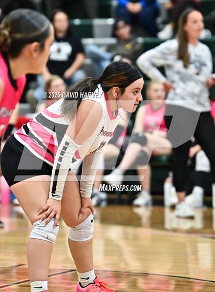 Thumbnail 1 in Pomona @ D'Evelyn photogallery.