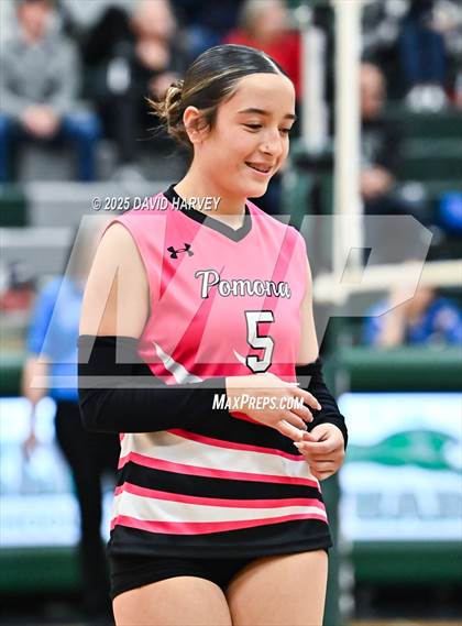 Thumbnail 3 in Pomona @ D'Evelyn photogallery.