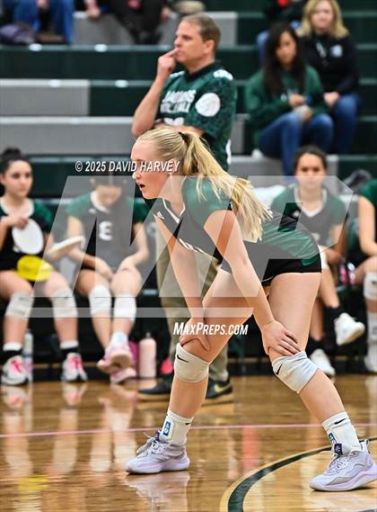 Thumbnail 1 in Pomona @ D'Evelyn photogallery.