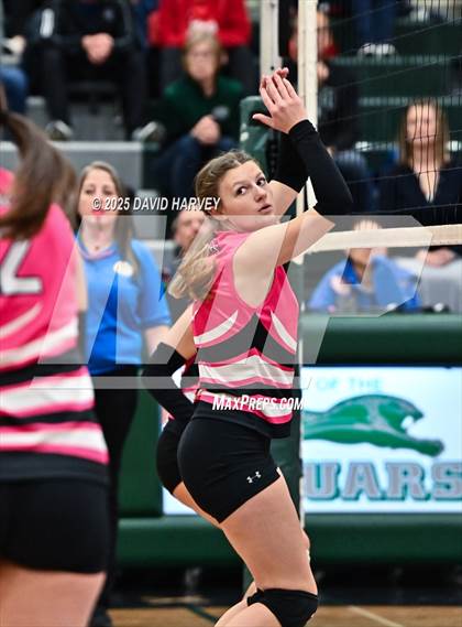 Thumbnail 2 in Pomona @ D'Evelyn photogallery.