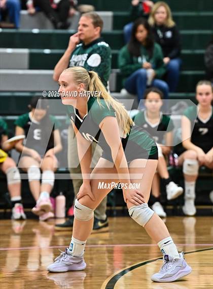 Thumbnail 3 in Pomona @ D'Evelyn photogallery.