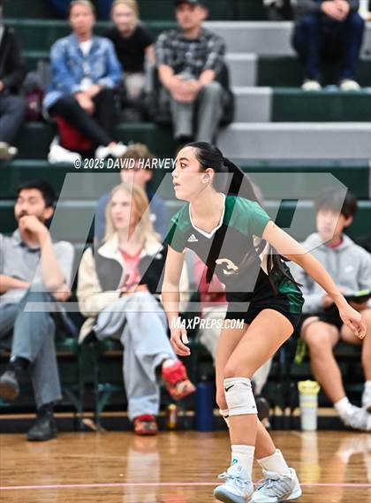 Thumbnail 3 in Pomona @ D'Evelyn photogallery.