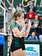 Photo from the gallery "Pomona @ D'Evelyn"