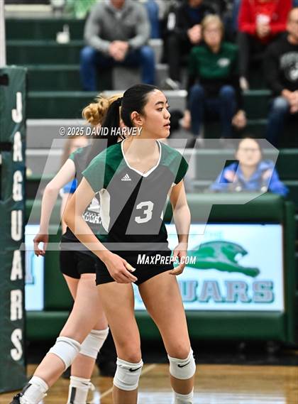 Thumbnail 1 in Pomona @ D'Evelyn photogallery.