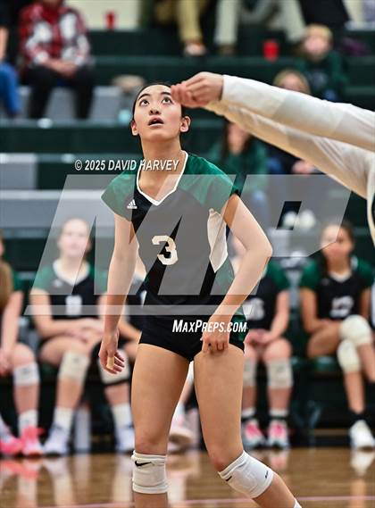 Thumbnail 2 in Pomona @ D'Evelyn photogallery.