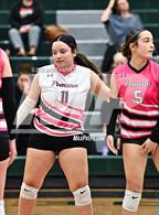 Photo from the gallery "Pomona @ D'Evelyn"